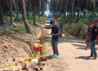 Polres Muba Gerak Cepat Ungkap Kasus Penemuan Jenazah di Area Perkebunan Sawit