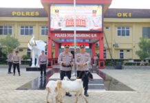 37 Tahun Mengabdi, Ipda Hipni Pamit dari Polri, Pulang Bawa Sepasang Kambing