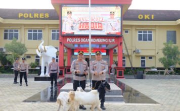 37 Tahun Mengabdi, Ipda Hipni Pamit dari Polri, Pulang Bawa Sepasang Kambing