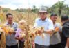 Bupati Tapsel: Tak Boleh Lagi Ada Lahan Pertanian Menganggur, Modal Petani Disiapkan