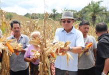 Bupati Tapsel: Tak Boleh Lagi Ada Lahan Pertanian Menganggur, Modal Petani Disiapkan