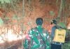 Gerak Cepat Babinsa Koramil 402-10/Kayuagung Padamkan Karhutla di Muara Burnai 1
