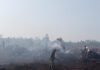 Api Lahap 1 Hektare Lahan, Babinsa Koramil 402-11/Tulung Selapan Turun Tangan