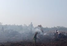 Api Lahap 1 Hektare Lahan, Babinsa Koramil 402-11/Tulung Selapan Turun Tangan