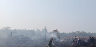 Api Lahap 1 Hektare Lahan, Babinsa Koramil 402-11/Tulung Selapan Turun Tangan