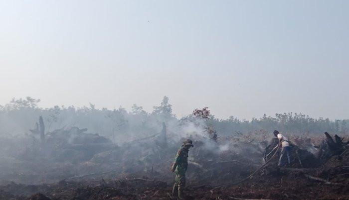 Api Lahap 1 Hektare Lahan, Babinsa Koramil 402-11/Tulung Selapan Turun Tangan