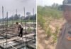 Dukung Ketahanan Pangan, Dua Polsek di OKI Cek Lahan Cabai dan Tambak Patin Warga
