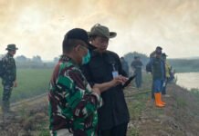 Karhutla Mengancam Way Kambas, Komite Kerahkan Pompa Air hingga Bangun 10 Sumur Bor