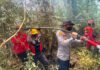 Api Mengancam Lahan Gambut OKI, Petugas Bergerak dari Langit Hingga Daratan