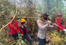 Api Mengancam Lahan Gambut OKI, Petugas Bergerak dari Langit Hingga Daratan