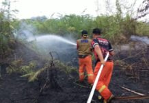 Karhutla Kembali Terjadi, BPBD Muba Catat 11,5 Hektare Lahan Terbakar