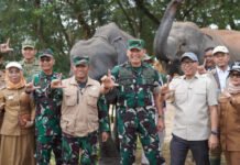 Kunjungi TN Way Kambas, Gubernur Lampung dan Pangdam Pastikan Gajah Sumatra Aman dari Dampak Kebakaran