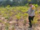 Dorong Ketahanan Pangan, Polsek Lempuing Jaya Cek Lahan Pekarangan Warga