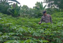 Polres OKI Gencarkan Ketahanan Pangan, Dorong Masyarakat Manfaatkan Lahan Produktif
