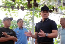 Dari Kebun Melon dan Anggur, Bupati Egi Dorong Desa-Desa Produktif