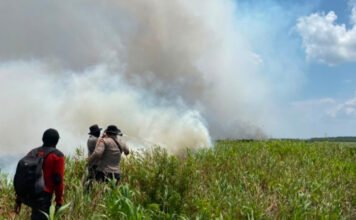 Menhut Raja Juli Antoni Tinjau Karhutla SM Padang Sugihan, Kolaborasi Multipihak Perkuat Pemadaman