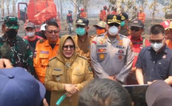 Plt. Bupati Sumarni Turun ke Titik Api, Karhutla di Muara Enim Jadi Perhatian Serius