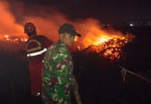 Lahan Terbakar di Jejawi OKI, Petugas Gabungan Berpacu Cegah Api Meluas