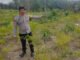 Dukung Ketahanan Pangan, Polres OKI Intensifkan Pendampingan Lahan Pekarangan dan Kebun Jagung