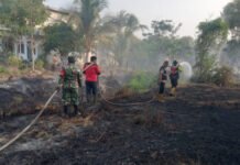 Polda Sumsel Intensifkan Penanganan Karhutla di Ogan Ilir, Api Berhasil Dipadamkan