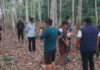 Curi Tandan Sawit di Kebun Hikmah II PT PAR, Pria Ini Ditangkap Polisi