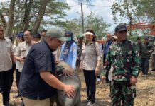 Setelah Karhutla, Komisi IV DPR RI Ingatkan Way Kambas Tak Boleh Sekadar Dipadamkan