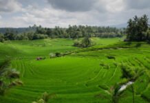 Lampaui Target, LP2B Capai 87,63% di Momen Peringatan 66 Tahun UUPA