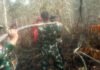 Pantang Menyerah, Satgas Karhutla Koramil 402-08/Pampangan Padamkan Api di Desa Sungai Bungin