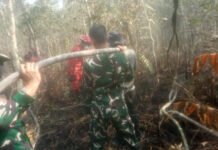 Pantang Menyerah, Satgas Karhutla Koramil 402-08/Pampangan Padamkan Api di Desa Sungai Bungin