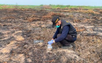 Polres OKI Buru Jejak Api di Ulak Kemang Baru, Labfor Ambil Sampel Abu
