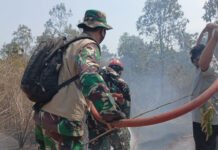 Karhutla Landa Dua Resor TNWK, Tim Gabungan Pastikan Jauh dari Habitat Gajah