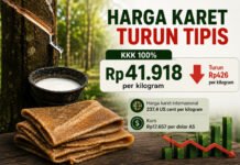 Awal Bulan, Harga Karet Turun Tipis Jadi Rp41.918 per Kg