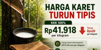 Awal Bulan, Harga Karet Turun Tipis Jadi Rp41.918 per Kg
