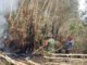 Babinsa 402-11/Tulung Selapan Gerak Cepat Tangani Karhutla di Pulo Beruang, 30 Hektare Lahan Terbakar