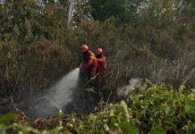 Menhut dan Kepala BNPB Tinjau Karhutla OKI, 11 Fire Spot Jadi Perhatian