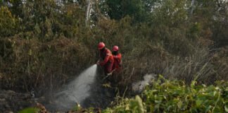 Menhut dan Kepala BNPB Tinjau Karhutla OKI, 11 Fire Spot Jadi Perhatian