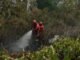 Menhut dan Kepala BNPB Tinjau Karhutla OKI, 11 Fire Spot Jadi Perhatian