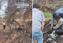 Polda Sumsel Gandeng Ahli IPB Perkuat Penyidikan Karhutla di Lahan HGU Ogan Ilir