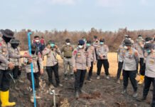 Polda Sumsel Peragakan Penggunaan Formula X-Fire untuk Penanganan Karhutla di Lahan Gambut