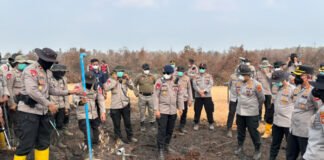 Polda Sumsel Peragakan Penggunaan Formula X-Fire untuk Penanganan Karhutla di Lahan Gambut