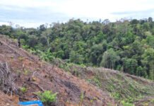 UU Pengaturan Reforma Agraria Buka Jalan Pemulihan Hak Masyarakat dalam Konflik Pertanahan