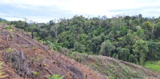 UU Pengaturan Reforma Agraria Buka Jalan Pemulihan Hak Masyarakat dalam Konflik Pertanahan