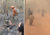 Usai Seorang Warga Meninggal Dunia Saat Lakukan Pemadaman, Kabut Asap Karhutla Masih Kepung Pulau Beruang