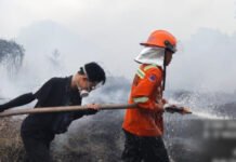 Enam Perusahaan Diawasi, Pemkab OKI Verifikasi Area Terbakar