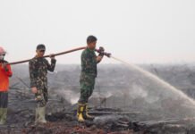 Hujan Bantu Pemadaman Karhutla di OKI, Satgas Lanjutkan Pendinginan
