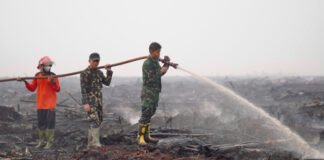 Hujan Bantu Pemadaman Karhutla di OKI, Satgas Lanjutkan Pendinginan
