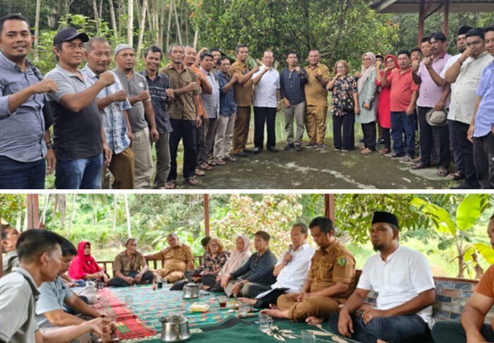 Kakao Tapsel Diperluas, Sayurmatinggi Kebagian 127 Hektare