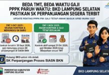 Beda TMT, Beda Waktu Pembayaran Gaji PPPK-PW, BKD Lampung Selatan Pastikan SK Perpanjangan Segera Terbit