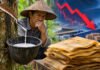 Harga Karet Sumsel Terjun Bebas, Kini Dibanderol Rp45.093 per Kilogram