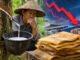 Harga Karet Sumsel Terjun Bebas, Kini Dibanderol Rp45.093 per Kilogram